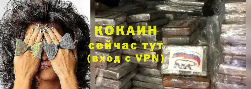 Cocaine Fish Scale  Дудинка 